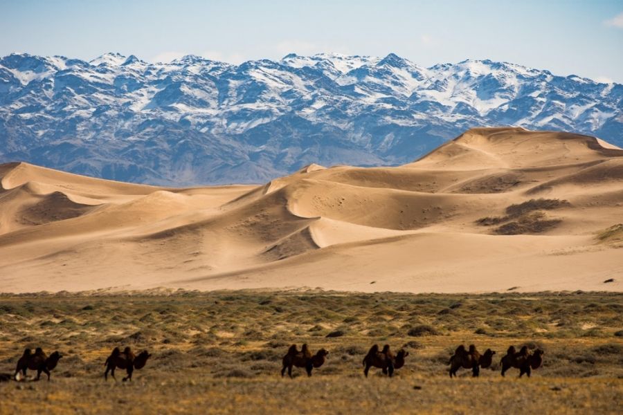 road trip en mongolie